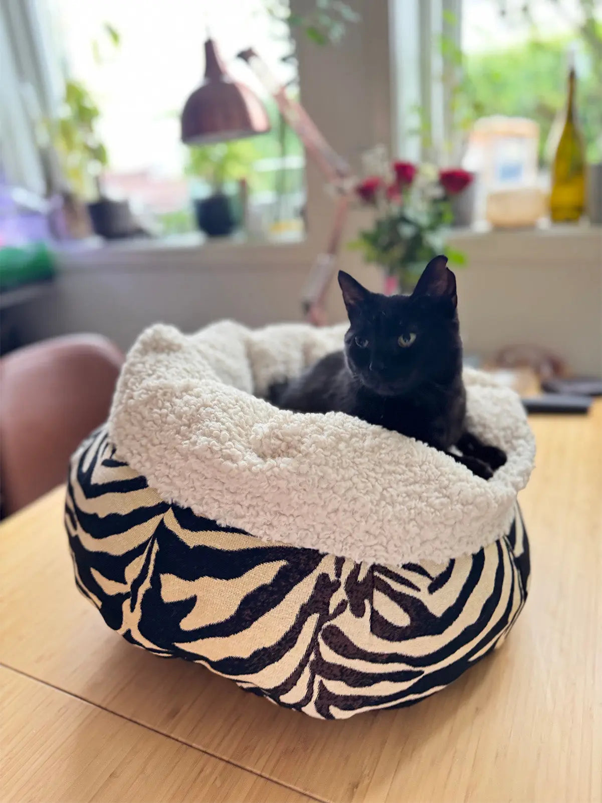Cat sitting in a handmade pet bed with teddy fabric, gobelin exterior, and natural wool filling.