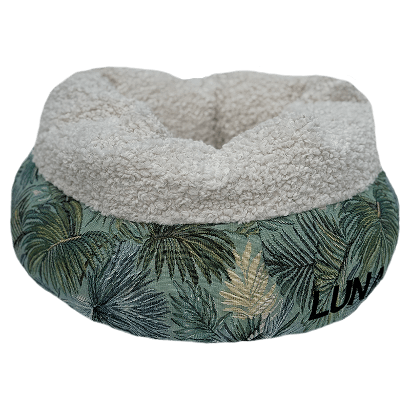Floral-patterned pet bed with a fluffy white top on a transparent background