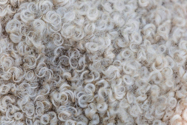 Fluffy sheep wool used for cozy and handmade pet bedding