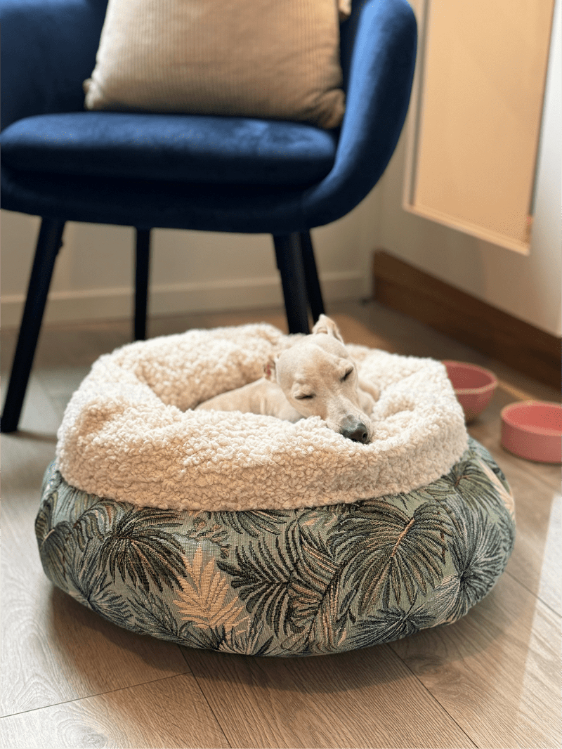 Dog resting on a floral-patterned pet bed in a room with a blue chair and pink bowls.